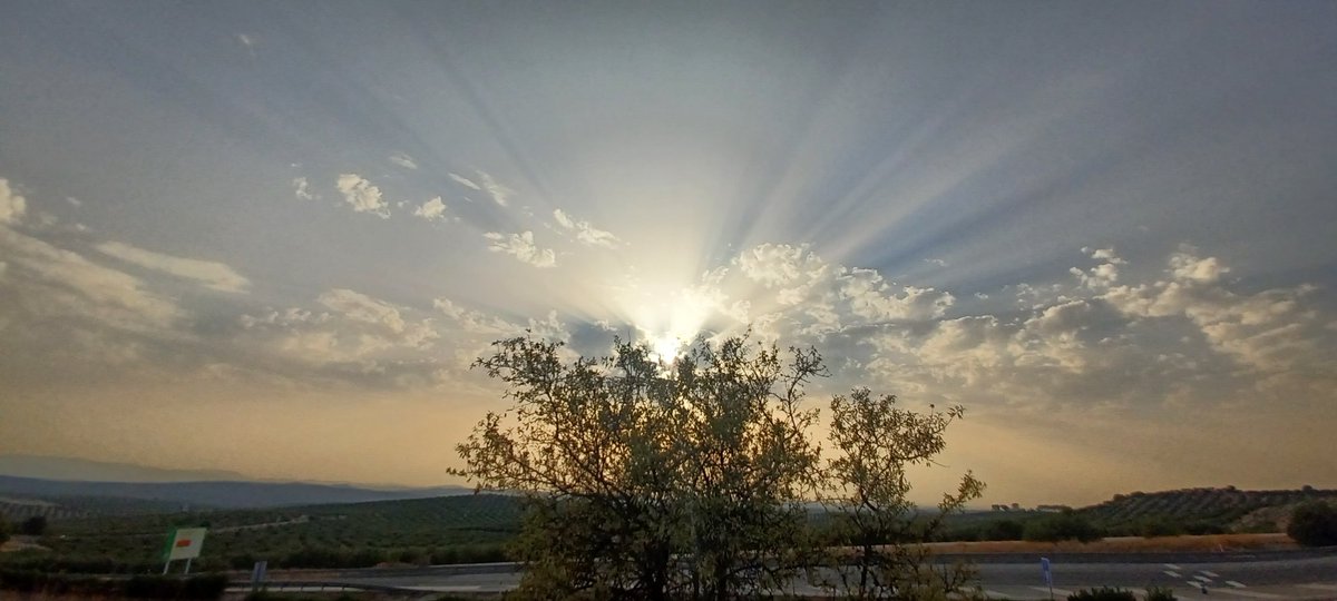 Atardecer de hoy en Martos y a las afueras..
<a href="/anamaria190977/">Ana María Herrero</a> <a href="/josep_pujol1/">jose pujol</a> <a href="/meteo_fuensanta/">ABELARDO OLMO</a> <a href="/jesusrockstar7/">Jesus</a> <a href="/MteoPuertoViejo/">Miguel Ángel</a> <a href="/Mariche_C/">Mariché C.</a> <a href="/xusvalencia/">Jesús🦇Martínez📸</a> <a href="/javioru/">Javi Martinez</a> <a href="/meteocastuera/">Álvaro Hurtado ™ ⛈️ 🌬☔️⚡️📸📹</a> <a href="/PresumodeMalaga/">Macu Pérez</a> <a href="/El_Neyra/">El_Ne¥ra™</a> <a href="/jacobpetrus_tve/">Jacob Petrus</a> <a href="/tiempobrasero/">Tutiempo</a> <a href="/aquilatierratve/">Aquí la Tierra</a> #compartetuatardecer