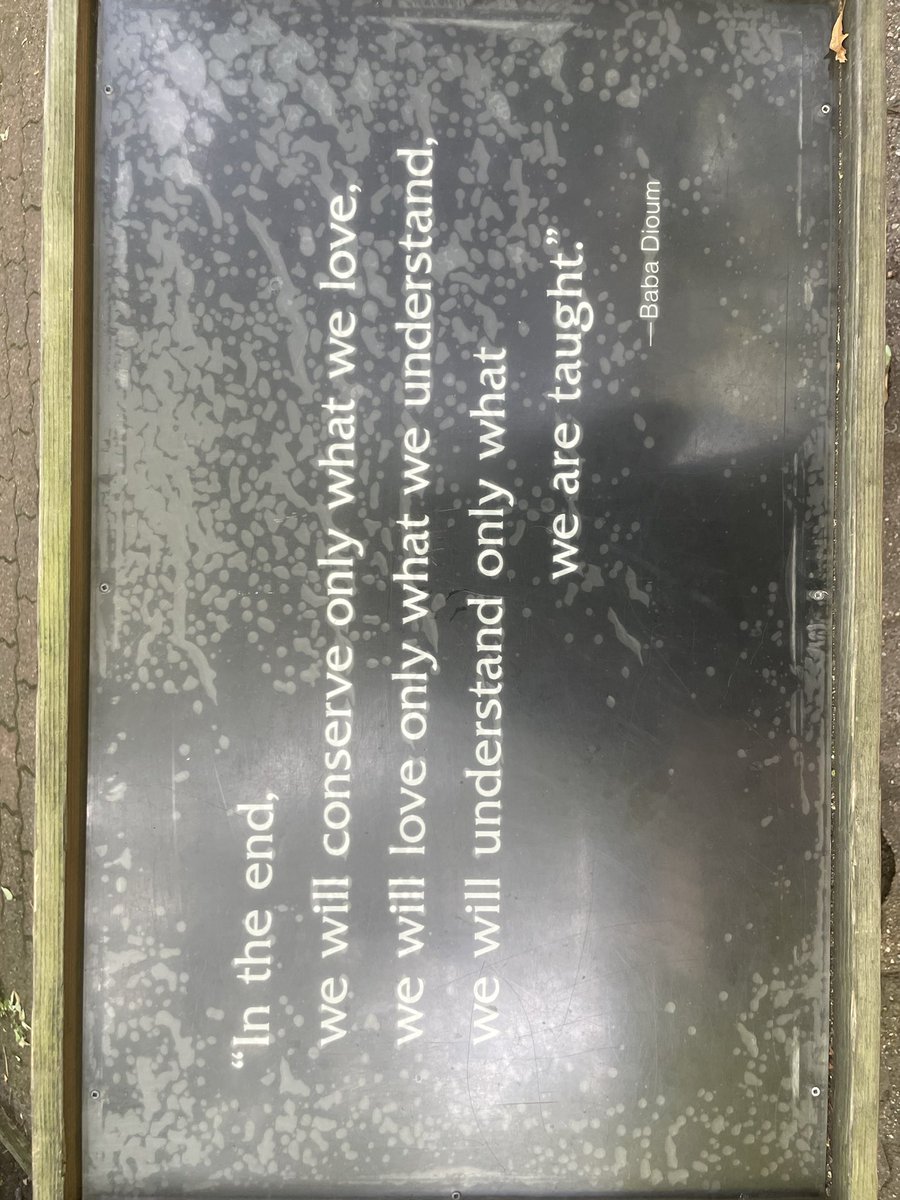 I’m at the zoo today, loving this beautiful quote