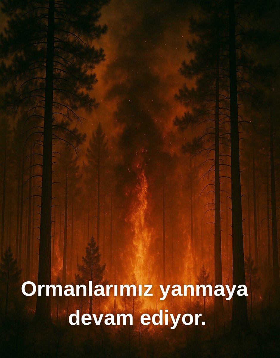 EgemenILGIN's tweet photo. Yurt genelinde orman yangınları devam ediyor. Ormanlarımız yanmadan önce sahip çıkmak, yandıktan sonra fidan dikmekten çok daha değerlidir. Yangını çıkaranla mücadele etmez, önlem almazsak; her diktiğimiz fidan, bir sonraki yangına kadar yaşar. https://t.co/HLkUWfCXXv
