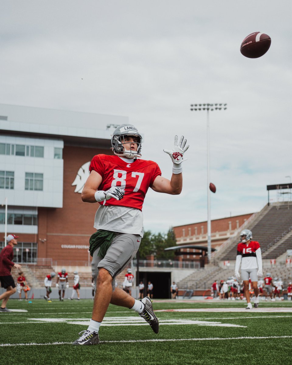 Cash Landau tweet media