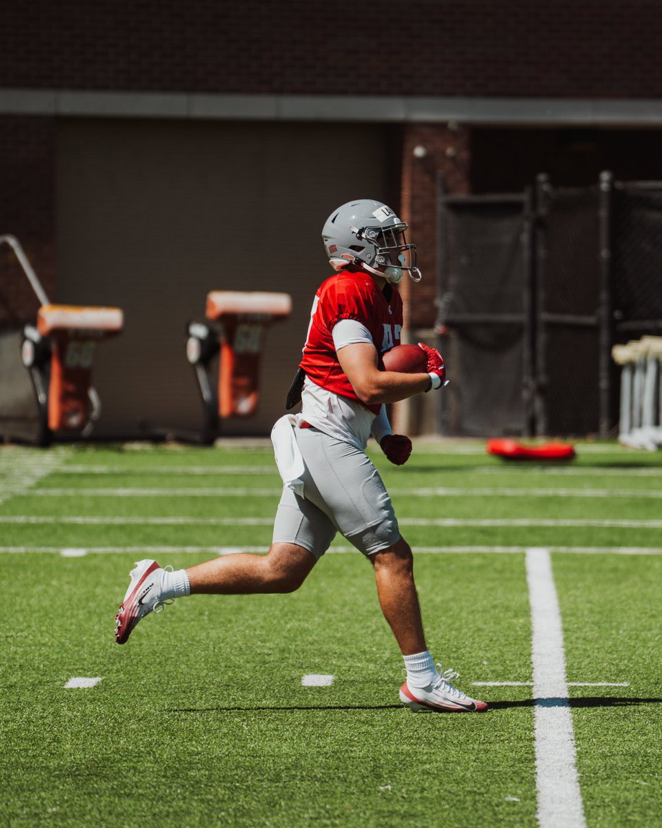 Cash Landau tweet media