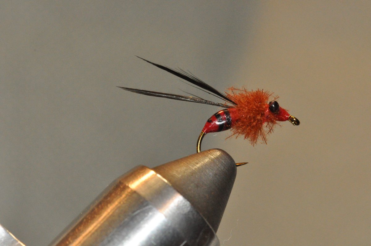 callaweginRob's tweet photo. This is a Red Wasp. Size 10. It should just float or slightly sink. To see the tying video, click on the following link:
https://t.co/AxAVuUHX0S https://t.co/Vw8FVDqaLy