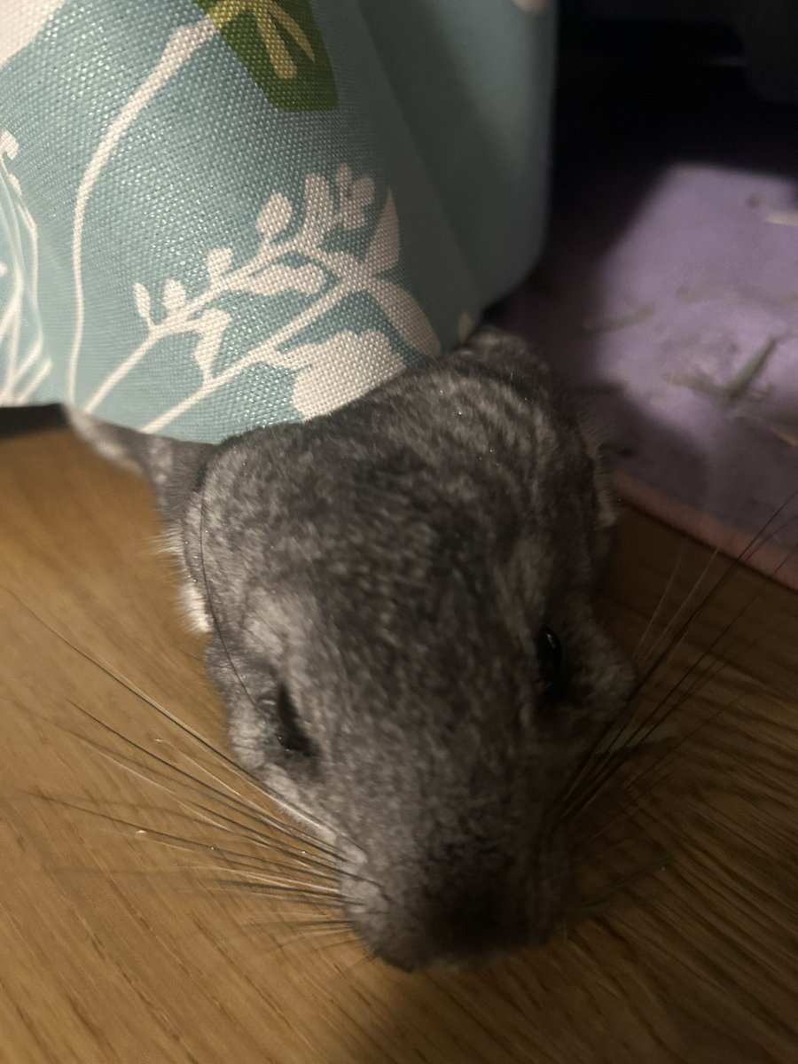 sappora30's tweet photo. どーゆー状態よ😂 https://t.co/7uWCRJ2D79
