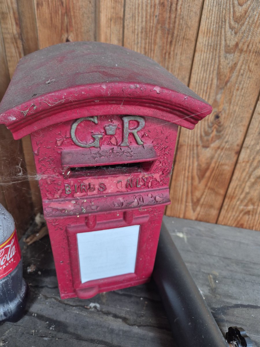 ann cooper (@66grumpy) on Twitter photo <a href="/FredTedOlga/">Fred & Ted 🧢</a> #postboxsaturday this is in the garden in my Aunts sheltered accommodation. I only noticed it today! <a href="/FredTedOlga/">Fred & Ted 🧢</a> #postboxsaturday this is in the garden in my Aunts sheltered accommodation. I only noticed it today!