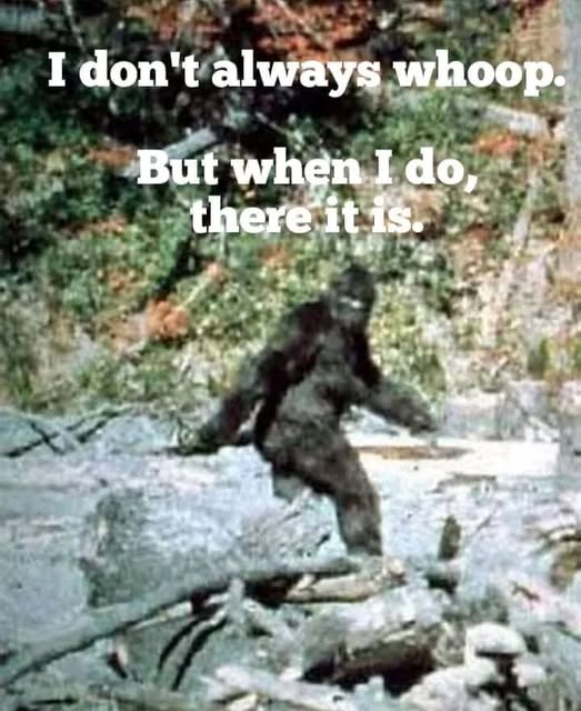 rlowery98's tweet photo. @ReallySasquatch https://t.co/v94yjF6Gxd