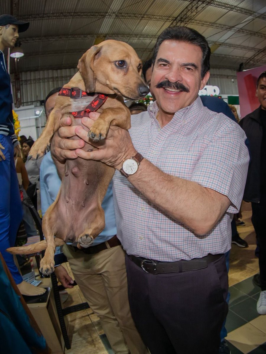 SumateBolivia's tweet photo. En el Día de San Roque celebramos el amor incondicional de nuestros mejores amigos 🐾💜 

#SanRoque https://t.co/SUWlmmHEMW