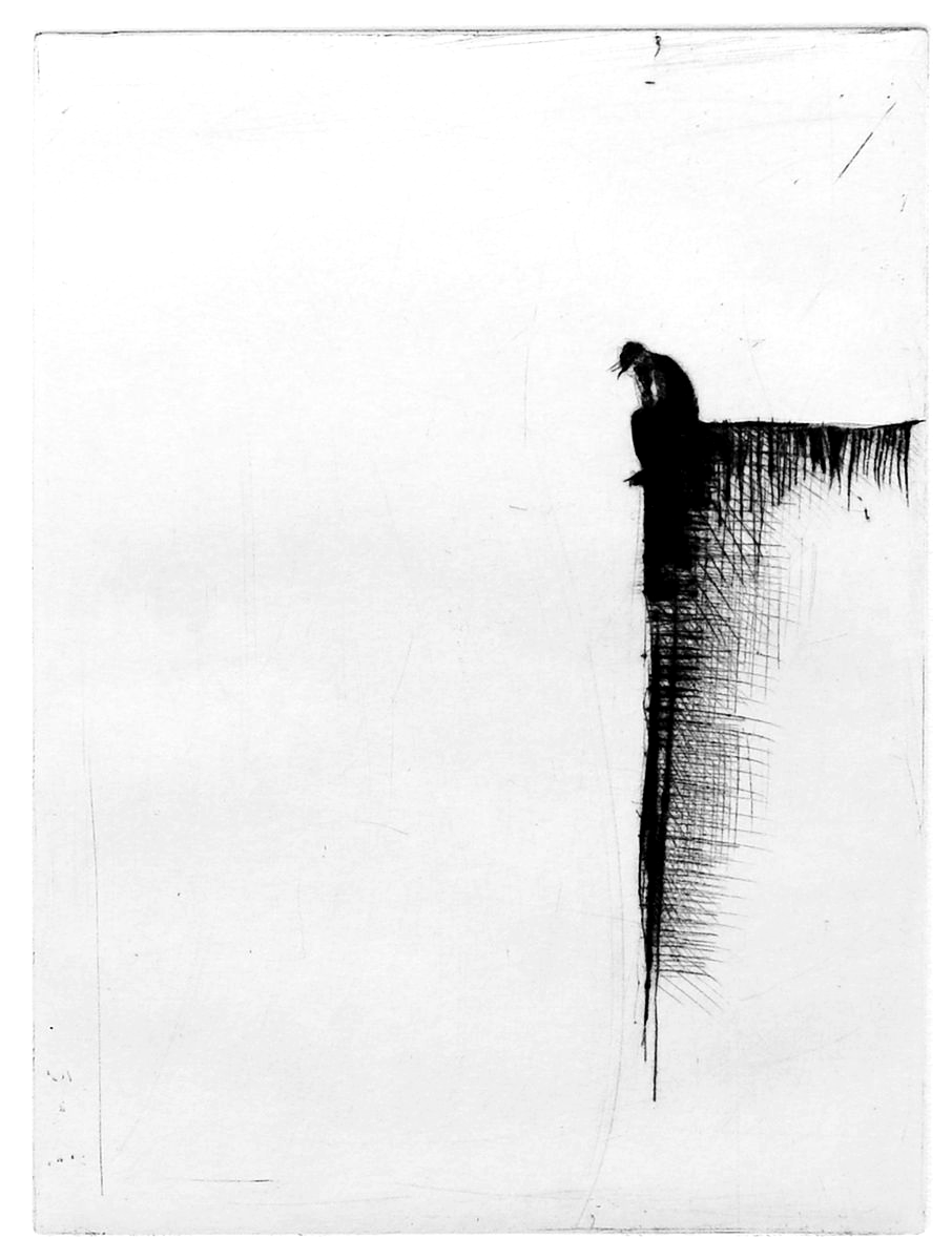ivan5rhythms's tweet photo. Some things stay with us. We don't "move on". We carry them. A new pain, a former love, or the empty space left behind.

Grief isn't something to hide or a sign of weakness. It proves that love was real and that something special existed in your life. Allow yourself to feel grief, to miss, and to remember what you loved.

As you move through grief, some days are heavy, others lighter. Sometimes, sadness appears suddenly. Other times, you feel grateful for all you have.

I came across something by @refugeingrief about helping people in grief: if you truly want to help, your key task is to listen, even when it's hard, and to accept that having the perfect words isn't necessary. Openness is what really matters. If someone can't offer that, real support isn't happening. No one expects all the answers, that's why conversation is important. Perfection isn't the goal, the effort is. We support each other, step by step, moving forward together.

Ultimately, the impact of your actions matters more than your intentions if those actions cause real harm.