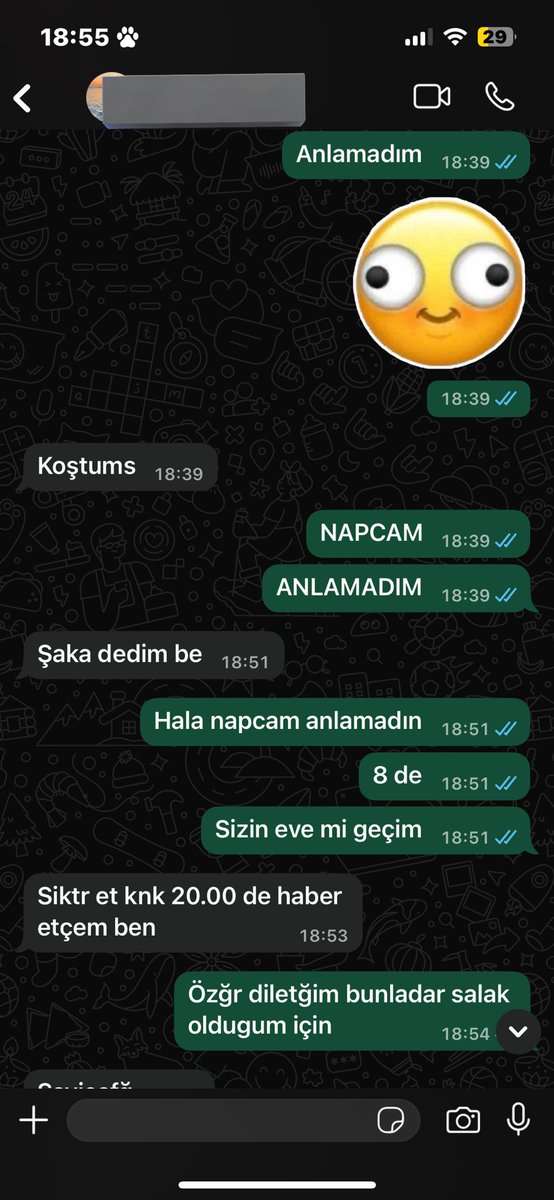 Salak olduğum için tüm arkadaşlarımdan özür diliyorım