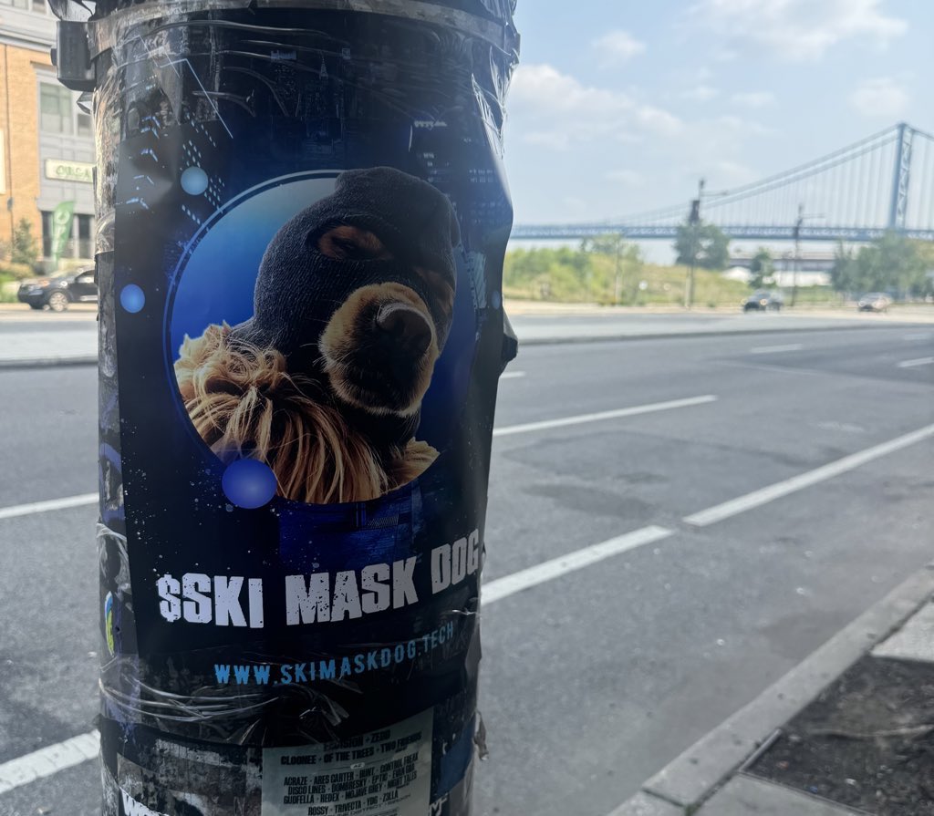 city by city $SKI gang is masking up and hitting the streets to spread the movement 🥷🐕