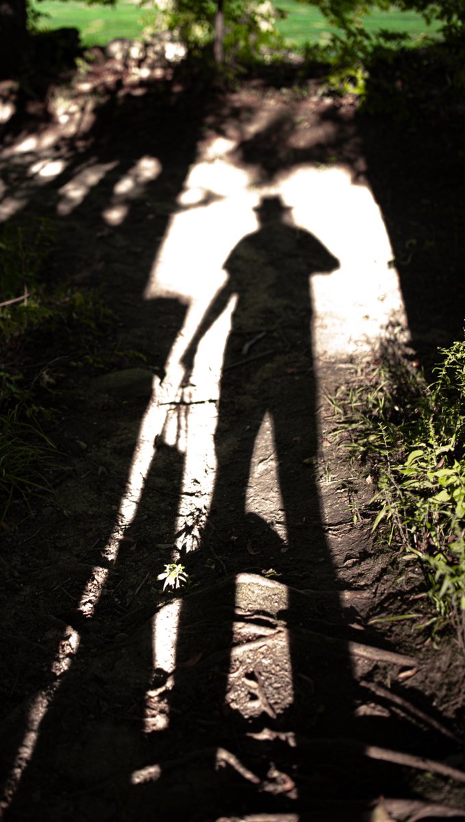 fotogosaurus's tweet photo. Felix The Cat https://t.co/V9ZuiuWv4t #VT #Vermont #NewEngland #shadow #Portrait #SelfPortrait #FelixTheCat #moment #think #reflect #August #beginning #ending #LookForward #LookBack #LongShadow #Canon #OnMyWay #Journey https://t.co/NWFMRBd6pd