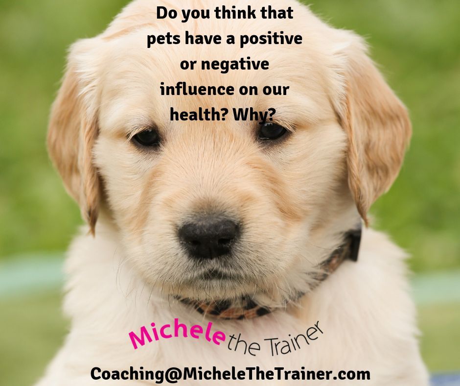MicheletheTrainer (@micheletrainer) on Twitter photo Do you think that pets have a positive or negative influence on our health? Why? If you need an online health coach get in touch on Coaching@MicheleTheTrainer.com #coaching #health #fitness #onlinecoaching #MTT #MicheleTheTrainer Do you think that pets have a positive or negative influence on our health? Why? If you need an online health coach get in touch on Coaching@MicheleTheTrainer.com #coaching #health #fitness #onlinecoaching #MTT #MicheleTheTrainer