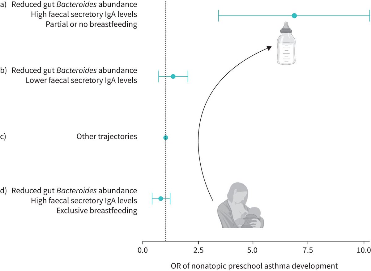 ERJ Open Research: Early-life gut microbial trajectories are associated with nonatopic preschool asthma and are possibly modified by breastfeeding practices bit.ly/4jNAPgI