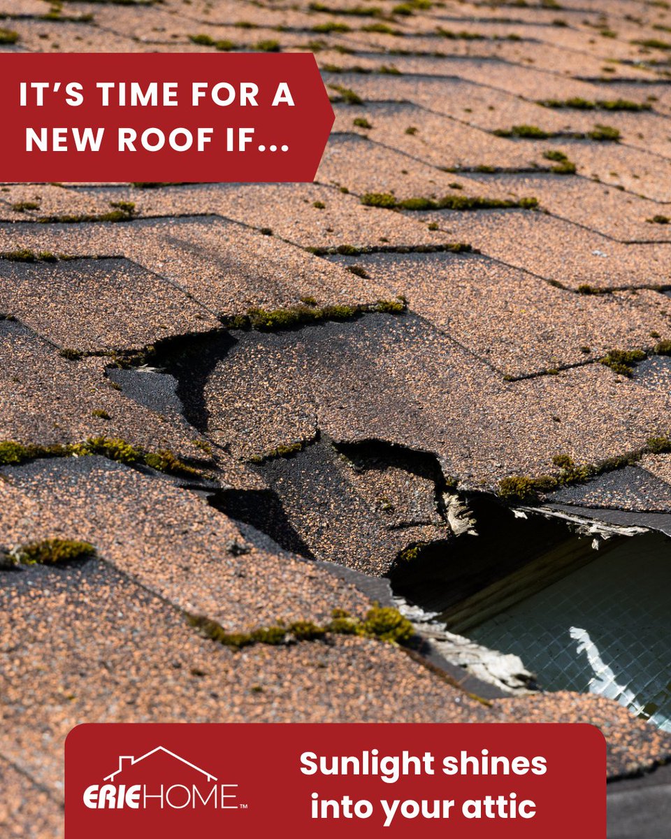 If sunlight’s shining into your attic, rain, damage—even animals—can get in too.
Light coming through your roof is a clear sign: it’s time to replace it before the next storm proves it.
⚠️ Don’t wait for water. 

#ErieHome #RoofDamage #ReplaceRoof