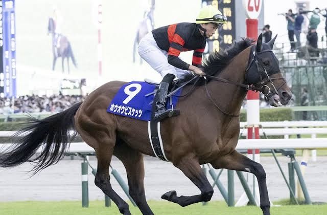 オキカラ競馬 tweet media