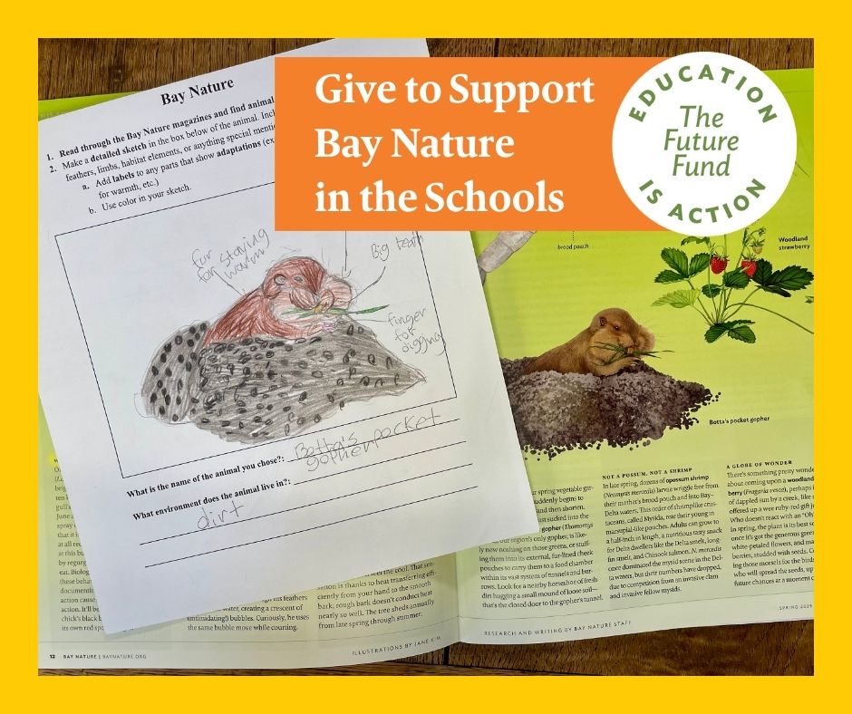 Bay Nature magazine tweet media