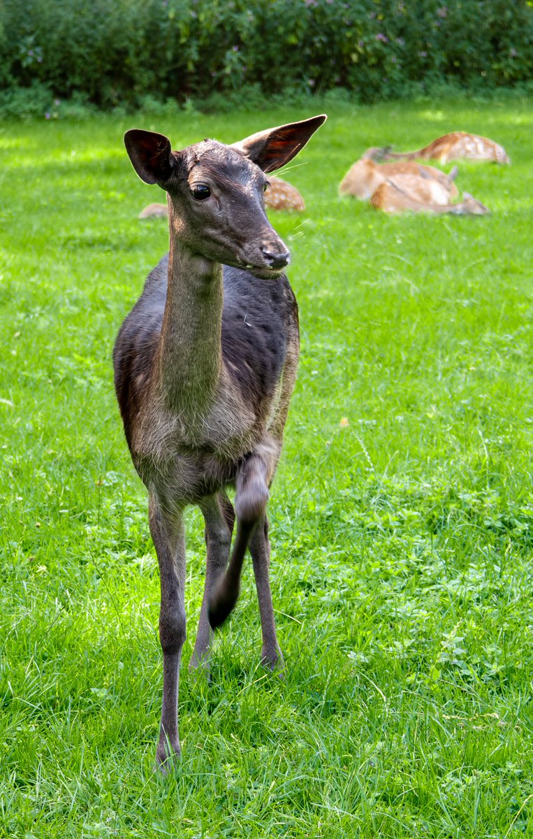 DMY033's tweet image. Ещё немного фото на Xiaomi