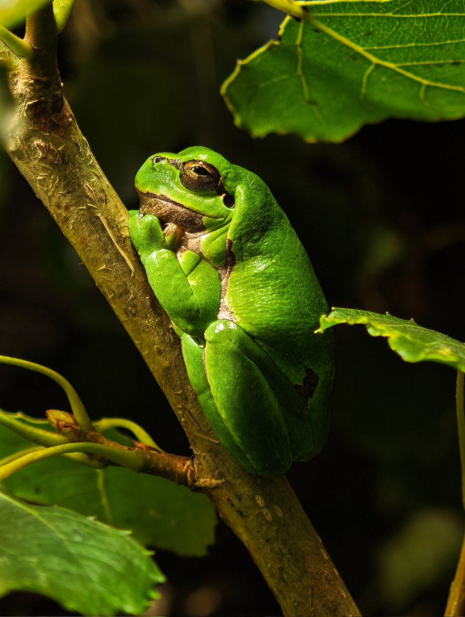 DMY033's tweet image. Ещё немного фото на Xiaomi