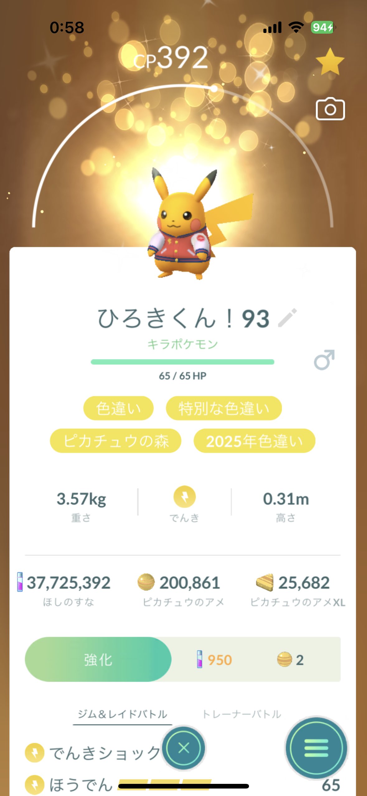 ポケモン　wcs2025 アナハイム　限定品　スタジャン　ピカチュウ　Lサイズ 現地限定】ポケモン WCS 2025 アナハイム スタジャン Lサイズ