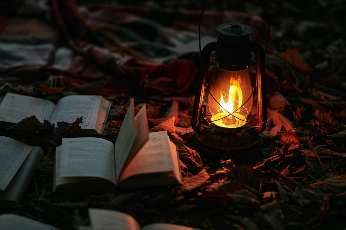 MercaferCoop's tweet photo. Libros y frases para amenizar el verano y hacerlo un poco más simpático. 📚🗨️🌞
#librosparaelverano, #frasesparaelverano, #librosyfrases, #verano2025, 
https://t.co/fdYMyrN885 https://t.co/8GVwBZCxhz