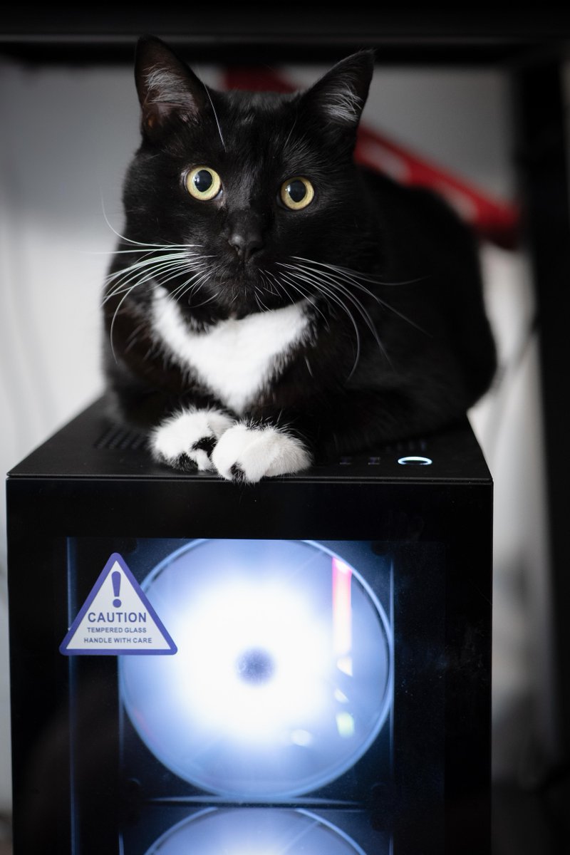 NVIDIA GeForce tweet media