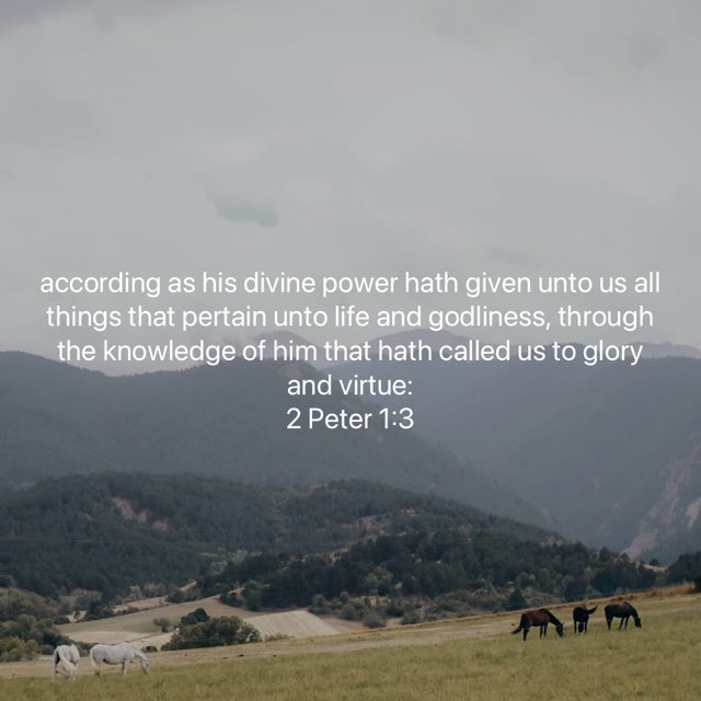 Anthony Day (@coachanthonyday) on Twitter photo 