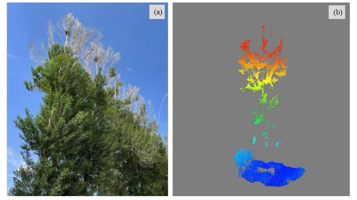 RemoteSens_MDPI's tweet photo. 🌳🌳 Discriminating between #Biotic and #Abiotic #Stress in Poplar #Forests Using Hyperspectral and #LiDAR Data

✍️ Quan Zhou et al.
🔗 https://t.co/DVkMm8403p https://t.co/HcAkpvu6Ts
