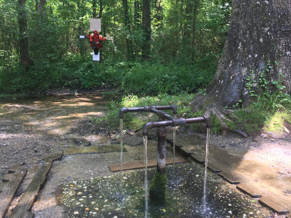 VisitAikenSC's tweet image. Explore Beyond Aiken: Day Trips Within an Hour! 
1️⃣ Ridge Spring – Antiquing &amp;amp; Culinary Delights - loom.ly/iBRl4Yg
2️⃣ Blackville – Healing Springs &amp;amp; Comfort Food - ttps://loom.ly/dd8LWSc
3️⃣ Augusta, GA – History &amp;amp; Culture - loom.ly/s7_s20s
📷Thoroughbred Country