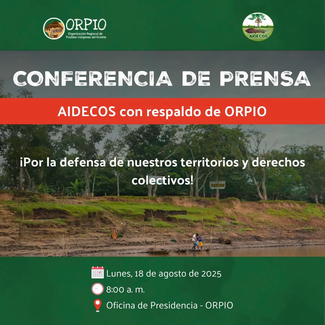 Orpio tweet media