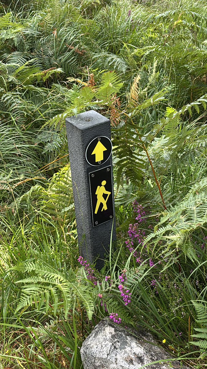 “Love builds a bridge 

Over which truth can pass”