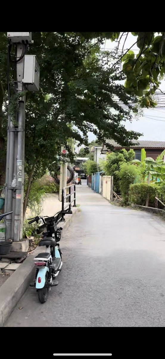 (slow) TAI TNP OFFICIAL tweet media