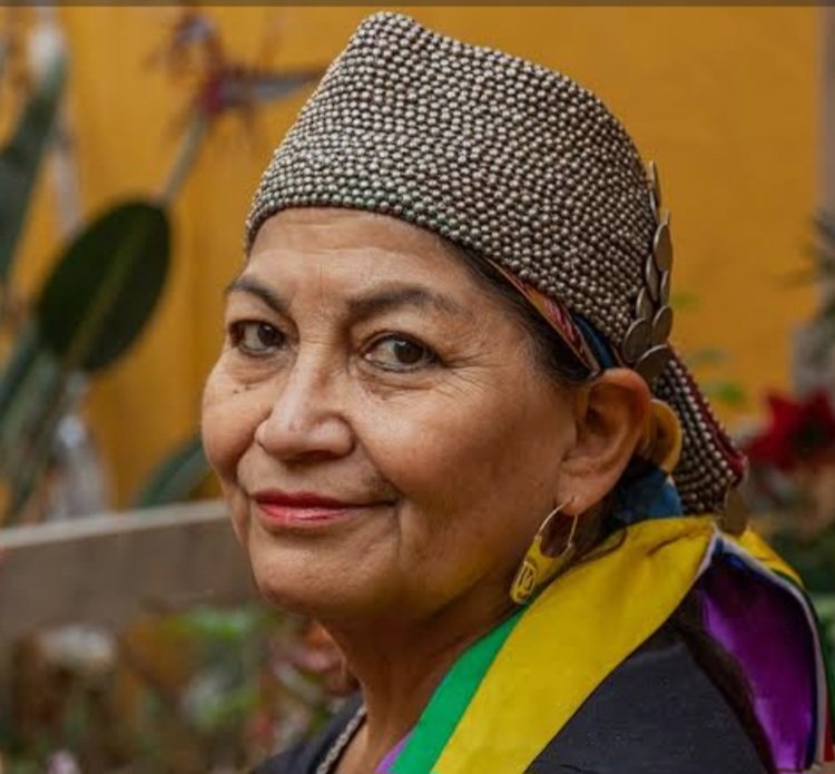 se postula al senado, el mismo que queria eliminar...