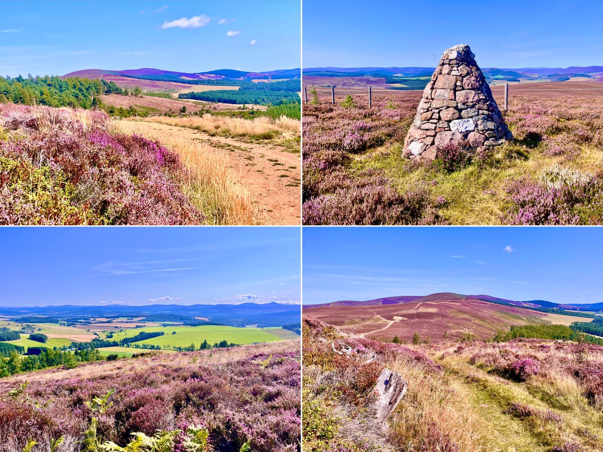 Today, Tillypronie💙 #walking #hillwalking #tillypronie #migvie #baderonochhill #reinacharn #purpleheather #aberdeenshire #walkingaberdeenshire