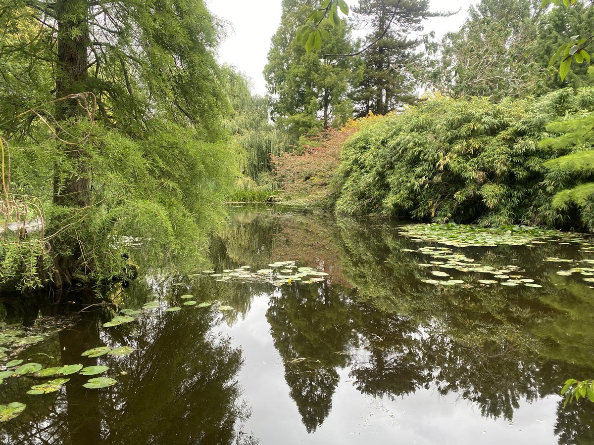 Kim Watson tweet media