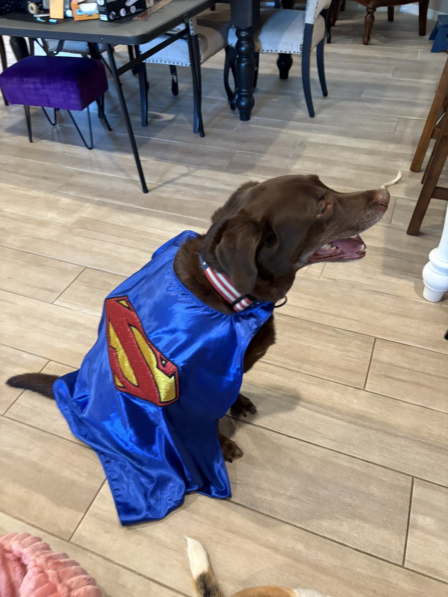 “I am a pup rocker, yes I am”