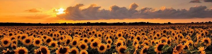 وَاللّٰهُ يُحِبُّ الصَّابِر۪ين
❝Allah sabredenleri sever.❞
                   {Al~i İmran~146}