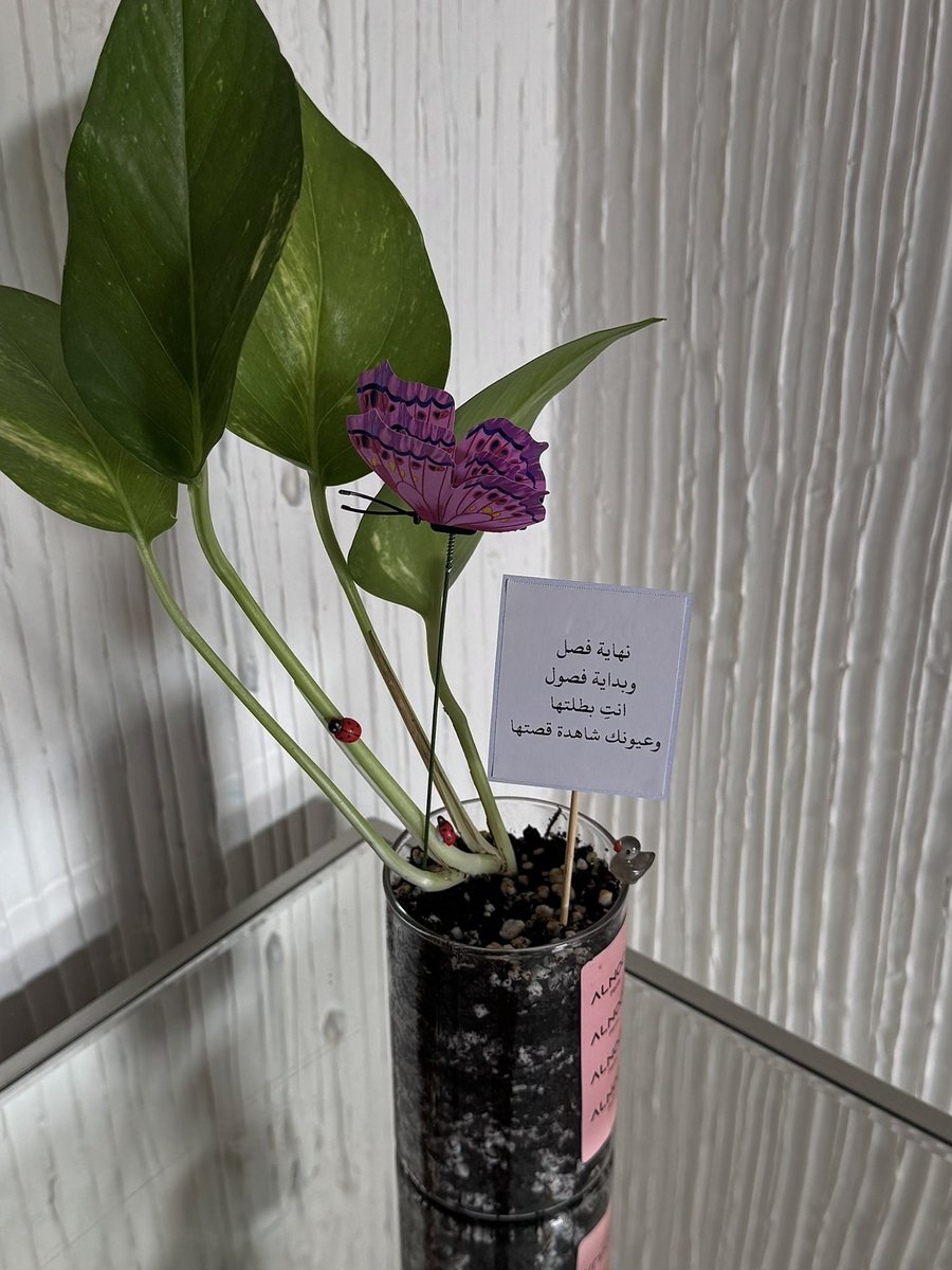 شكل كلمة يوم السبت🌴❤️