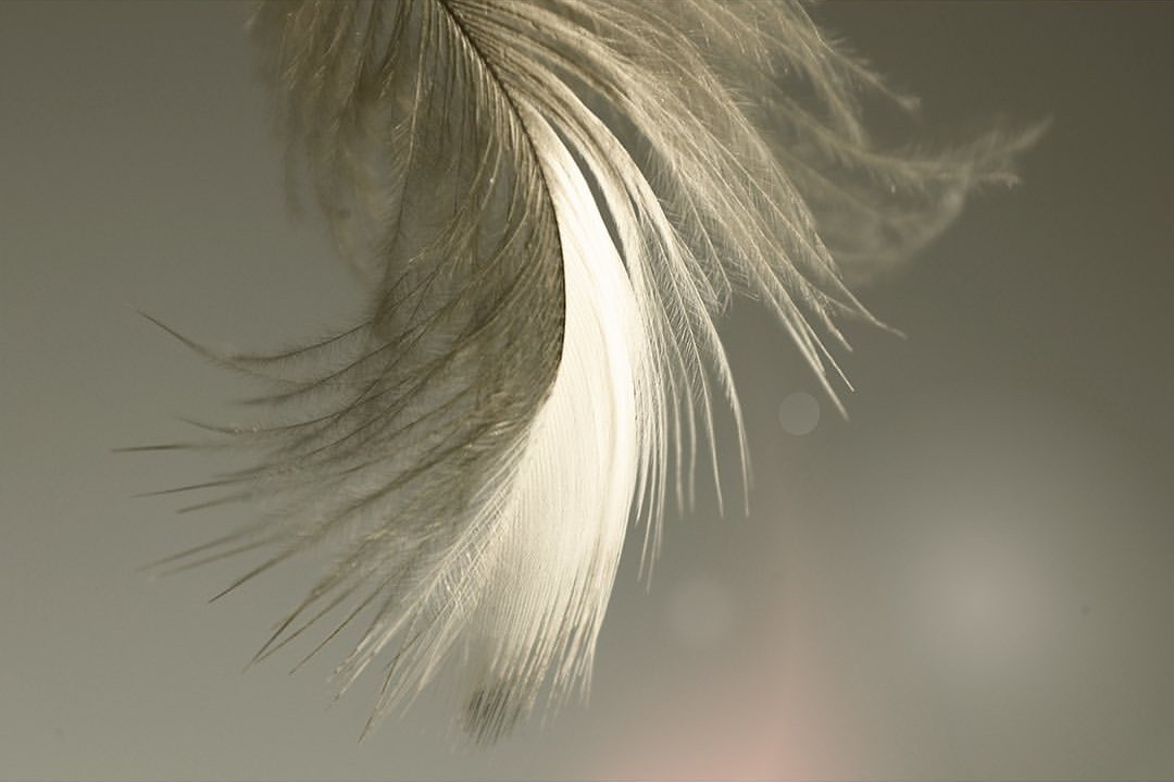 “The free soul is rare, but you know it when 
you see it – basically because you feel good, 
very good, when you are near or with them.”

~ Charles Bukowski, 𝑇𝑎𝑙𝑒𝑠 𝑜𝑓 𝑂𝑟𝑑𝑖𝑛𝑎𝑟𝑦 𝑀𝑎𝑑𝑛𝑒𝑠𝑠

🤍

Karen Thom