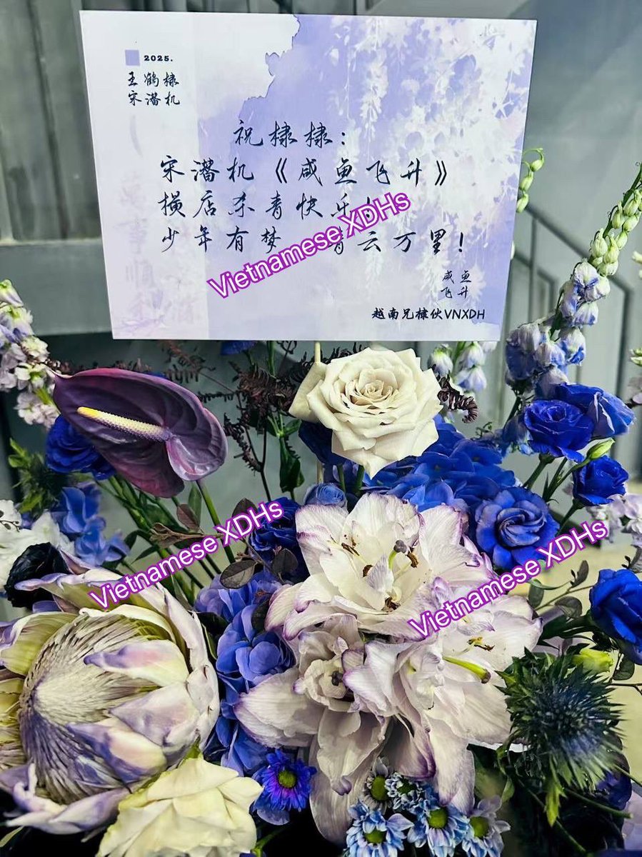 Our flowers basket support for #LiveLongAndProsper wrap event in Hengdian today🥰

All the best for #SongQianji and our #DylanWang #WangHeDi #王鹤棣