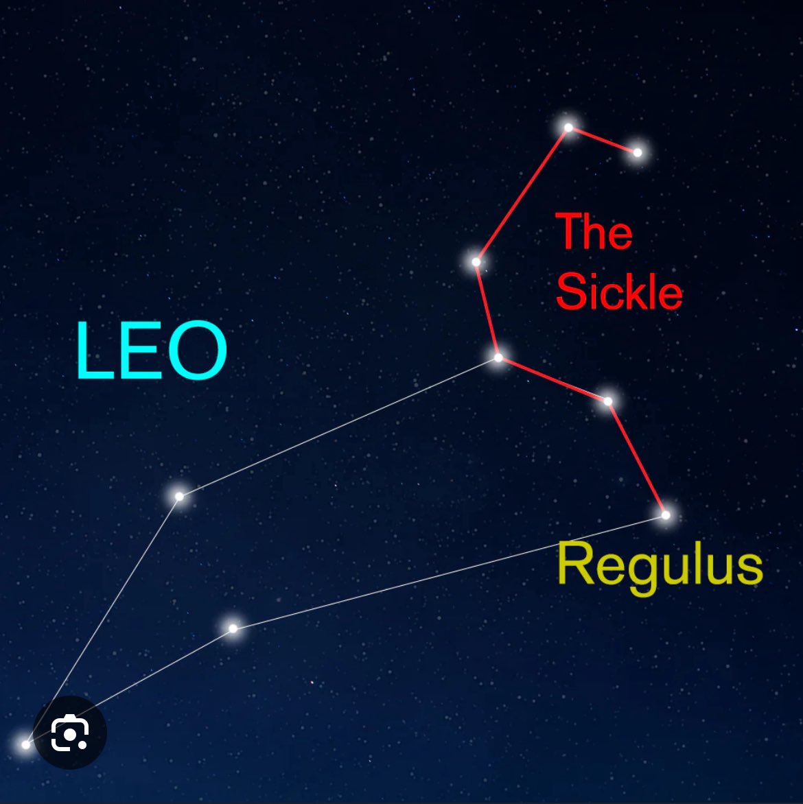 BlankCheck tweet media