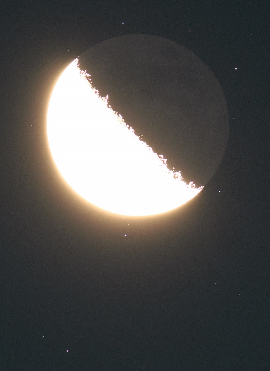 月世界への招待🌙🔭 tweet media