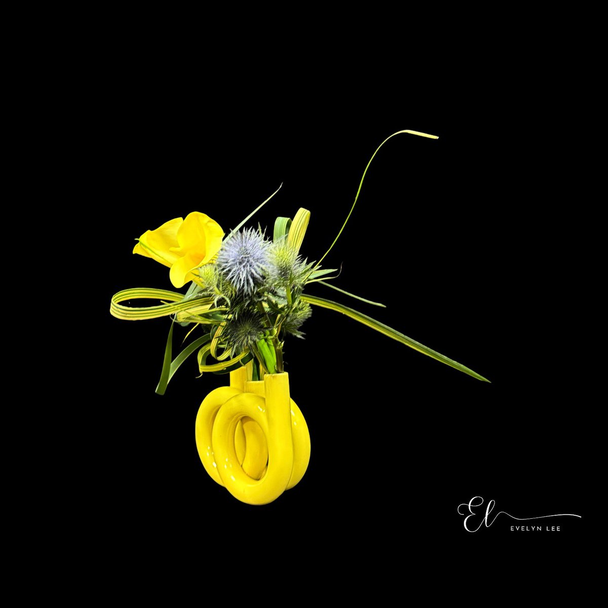 evelynlpy's tweet photo. A study in contrasts. Golden calla lilies meet the cool steel of eryngium, bound together by pandanus lines that dance in the air.
.
.
#ikebana #sogetsuschool #sogetsu #flowerphotography #flowerstyling #flowerphotography #生け花好きと繋がりたい #flowerstagram #ikebana_art https://t.co/0FRQx8lulG