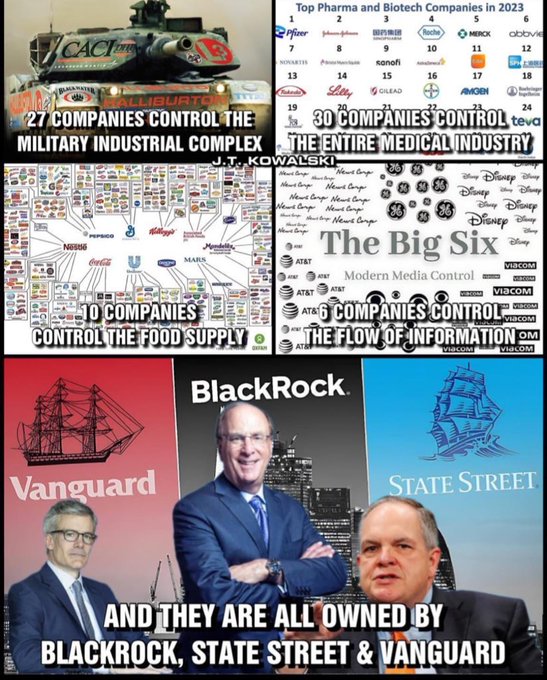 <a href="/ColonelTowner/">ColonelTowner-Watkins</a> Larry Fink (CEO Blackrock), Salim Ramji (CEO Vanguard) and Ronald P. O’Hanley (CEO State Street) have all sold out America...