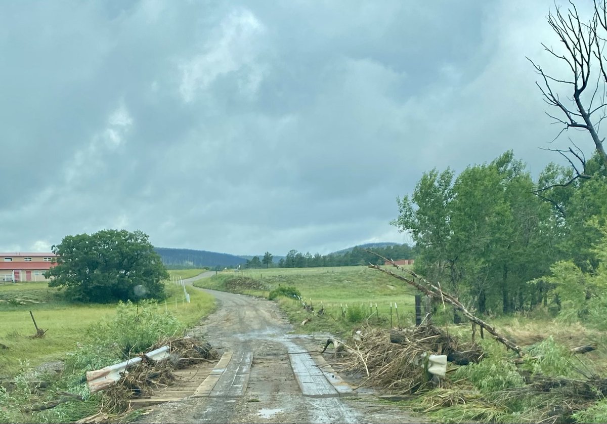 carmen_author's tweet image. #vss365

First the winds rose, whipping at the giants of the forest.
Then came the fires, consuming mountains for miles.
Afterward, floods tore the trees asunder, #pummeling the lands with debris.
And now trauma replaces peace in the burn scar when the monsoons arrive. #realism
