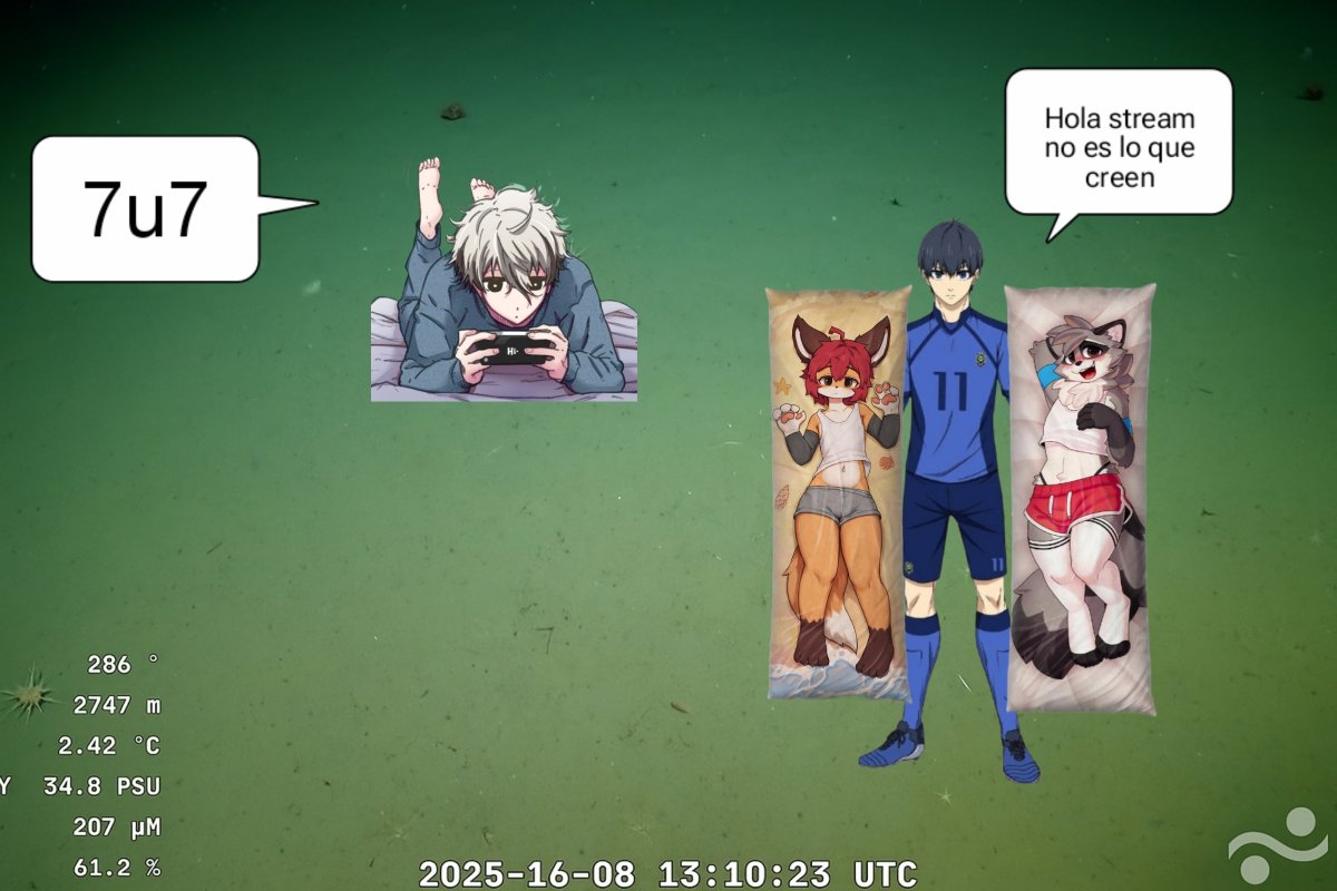 vaniddad's tweet image. Chicos no nos van a creer quien justo estaba pasando por el agua... @extasidioss