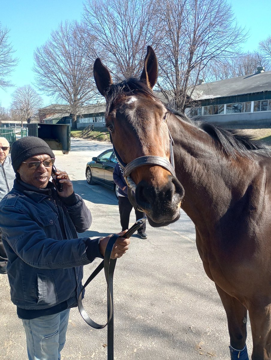 Offer a broodmare out of Gunrunner. Her name is Mulkey and she has won before. Her Mom Rocky Policy Has won almost $500,000 please DM me for more information if you are interested or know anyone who is interested