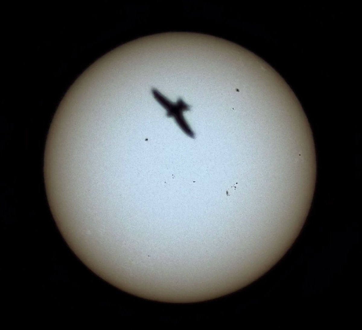 Birmingham Astro Soc tweet media