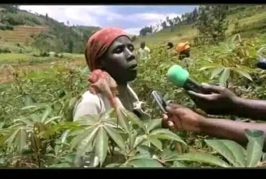 KaraboSekati_'s tweet photo. "ditamati tse le di isa kae?"
"Tsedi green or tsedi red ?"
"Tsedi red"
"Ra di rekisa"
"Then tsedi green ?"
"Letsone radi rekisa"
"Le di rekisetsa bo mang?"
"Tsedi green or tsedi red?"
"Tsedi red"
"Re rekisetsa di company "
"And then tsedi green?"
"Letsone re rekisetsa di company "
"Why hare go botsa lwena abo ore botsa gorr tsedi green or tsedi red ?"
"Akerr tsedi red ketsa Rona"
"And then tsedi green ?"
"Letsone ke tsa Rona"