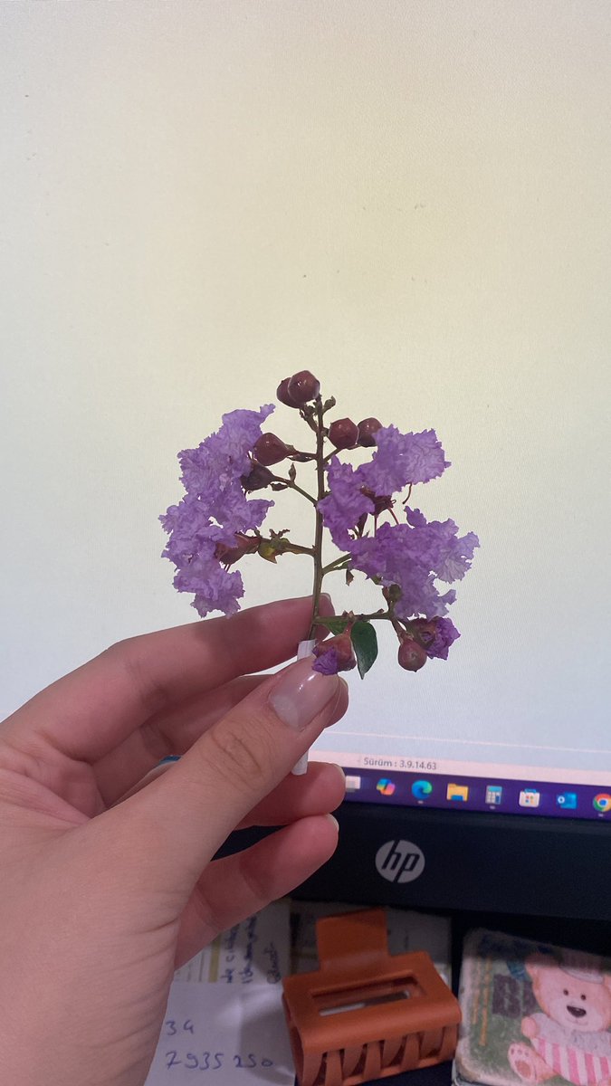 Günün anlam ve önemine dair burda kalsın yıllar sonra bile bugünü hatırlamak dileğiyle 🤍