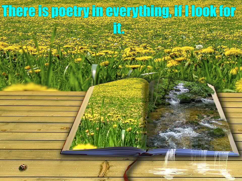 #SaturdayVibes
#SaturdayMood
#SaturdayMotivation 
#ThinkBIGSundayWithMarsha

There is poetry in everything, if I look for it.