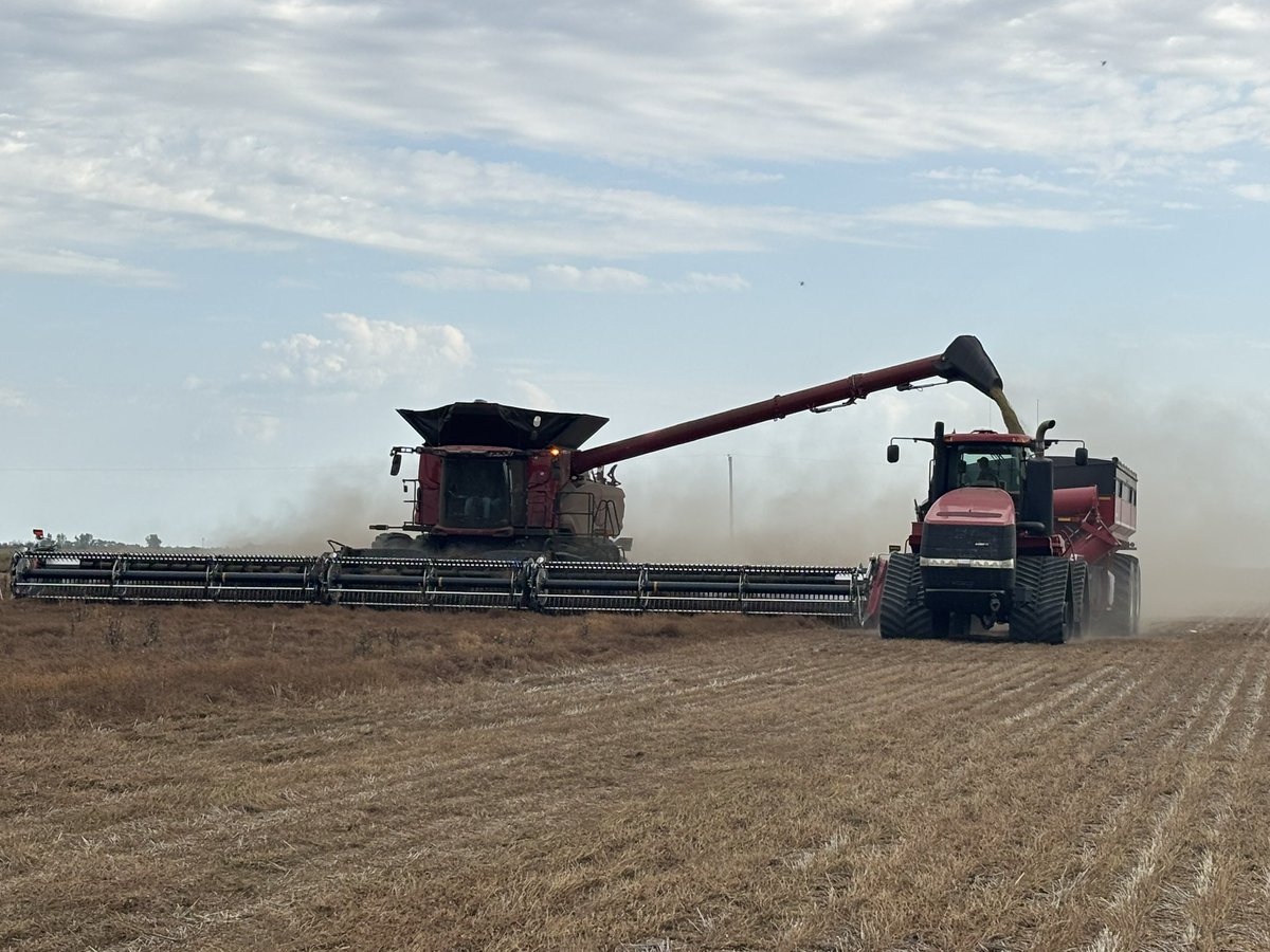 Rob Langley tweet media